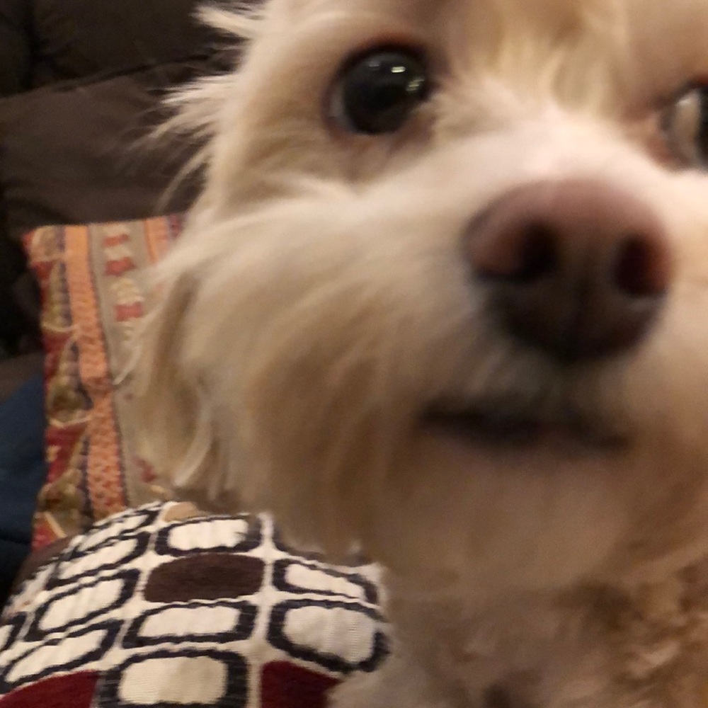 Meet your Posher, Richard